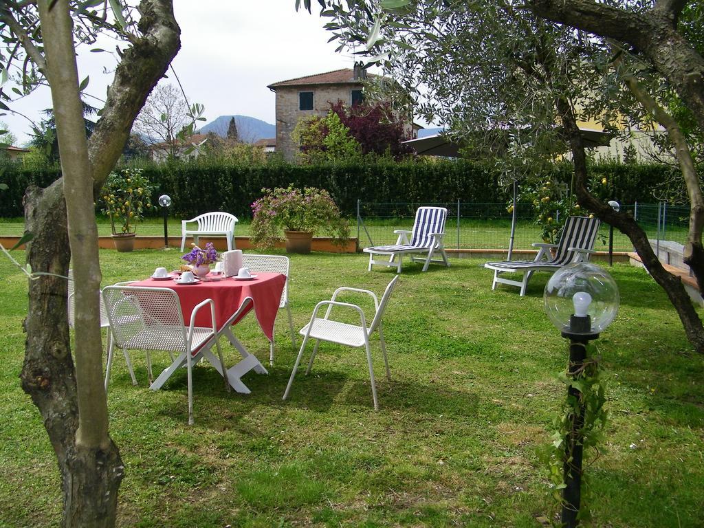 Triolivo B&B Lucca Luaran gambar